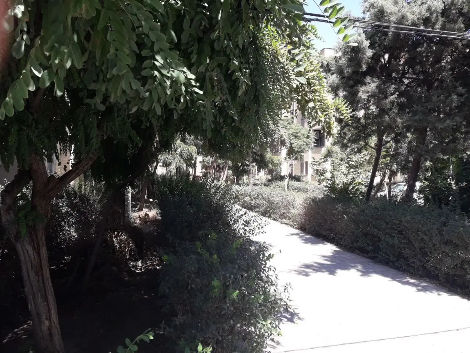 متر. 62.حسابی 36