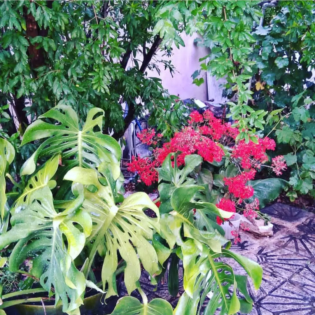 فروش طبقه همکف از ۲ طبقه حیاط دار