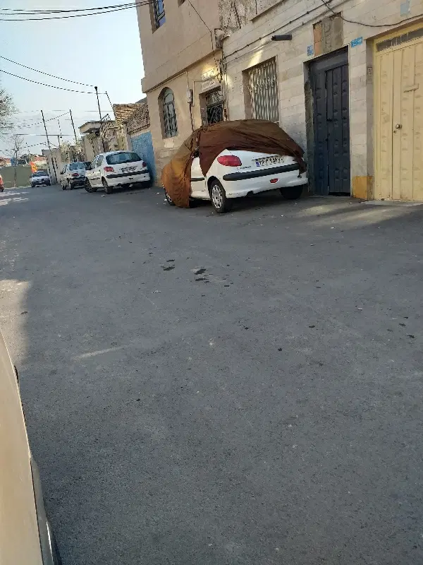 همخونه