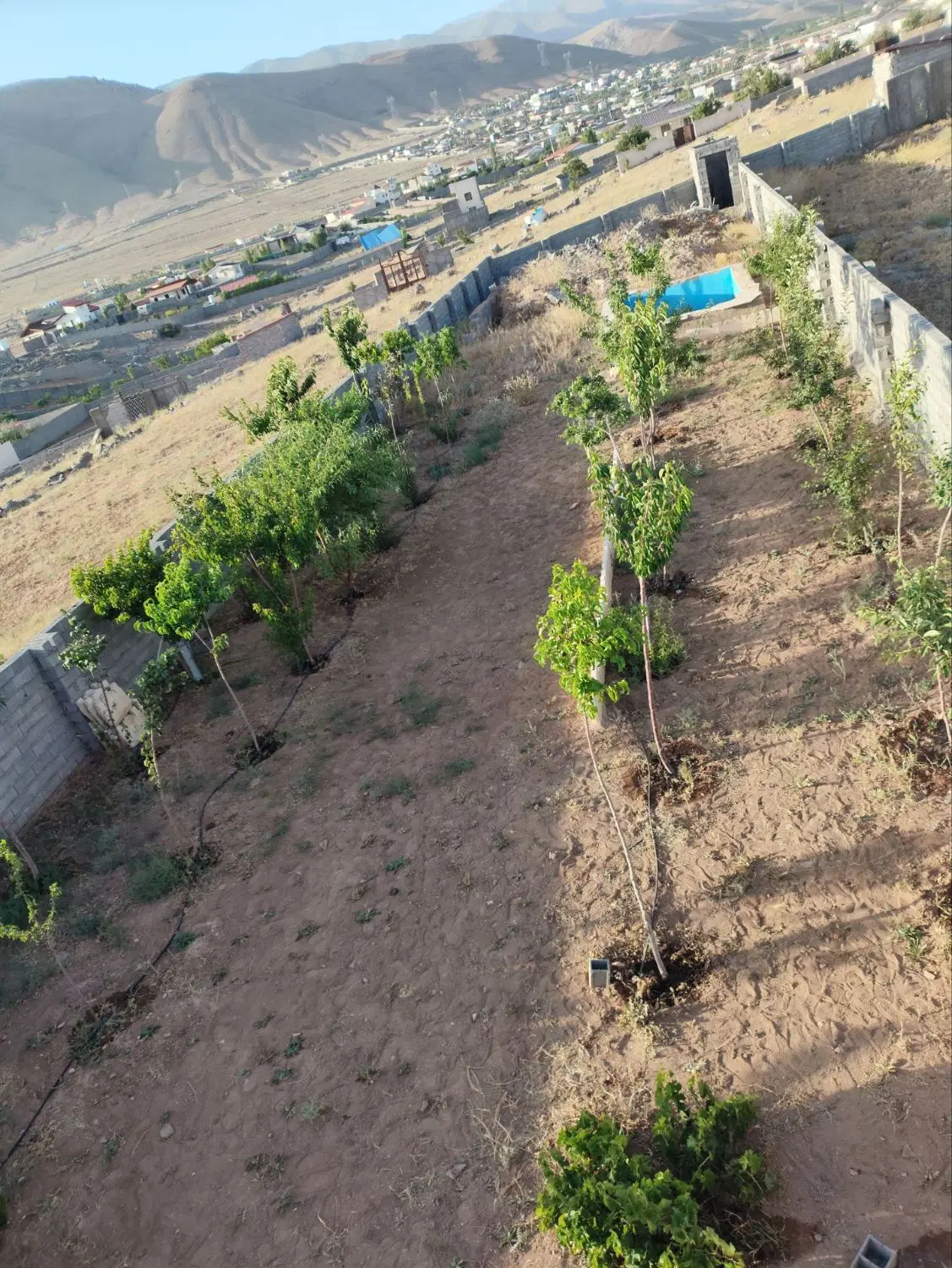 فروش زمین