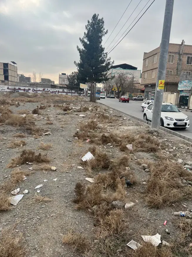 زمین توس ۱۱۷