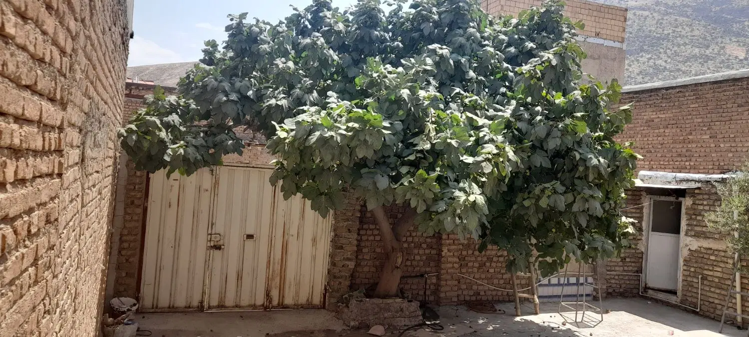خانه مسافر سوئیت ویلایی دریاچه کیو
