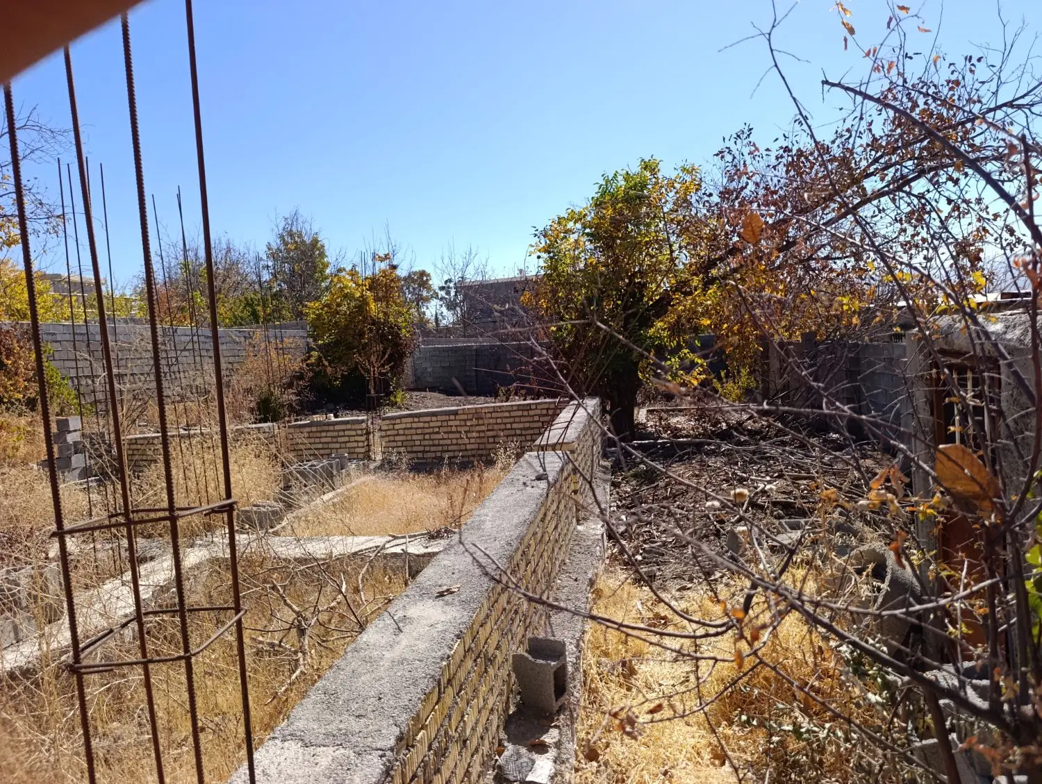 زمین گنجه ای بزرگ
