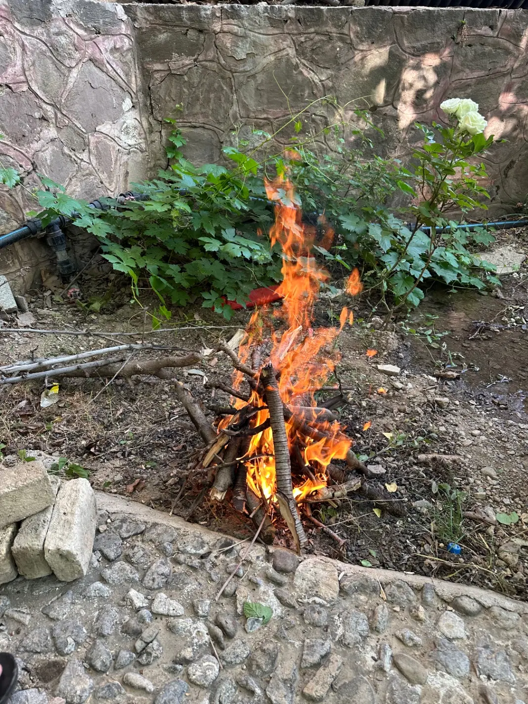 آتشگاه زمین مسکونی