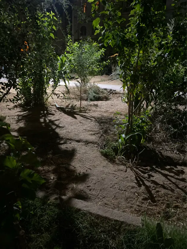 زمین منابع طبیعی
