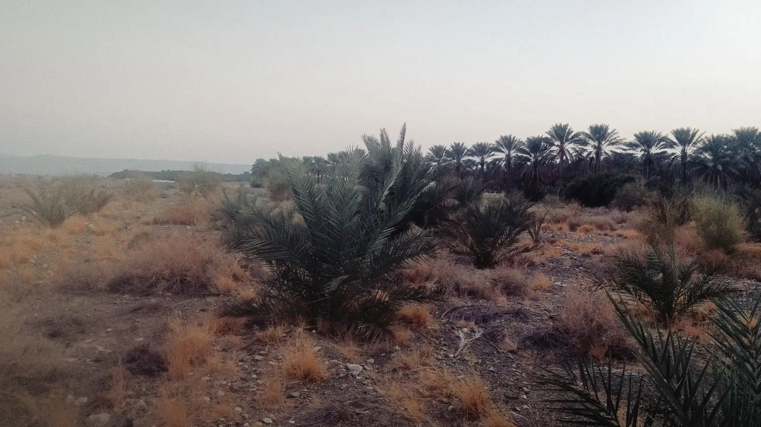 فروش آب و زمین  کشاورزی
