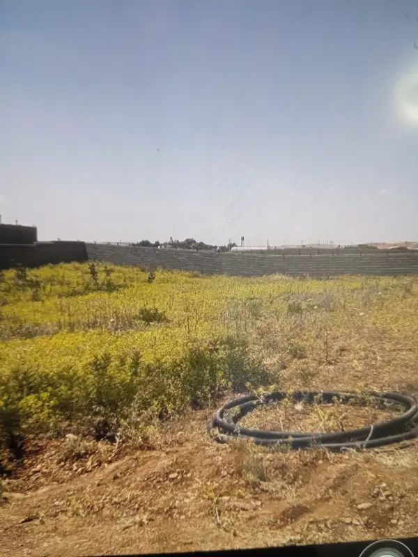 زمین باغشهر ۱۰۰۰ کوی رحمت‌‌(جاده قلات به زنیان)