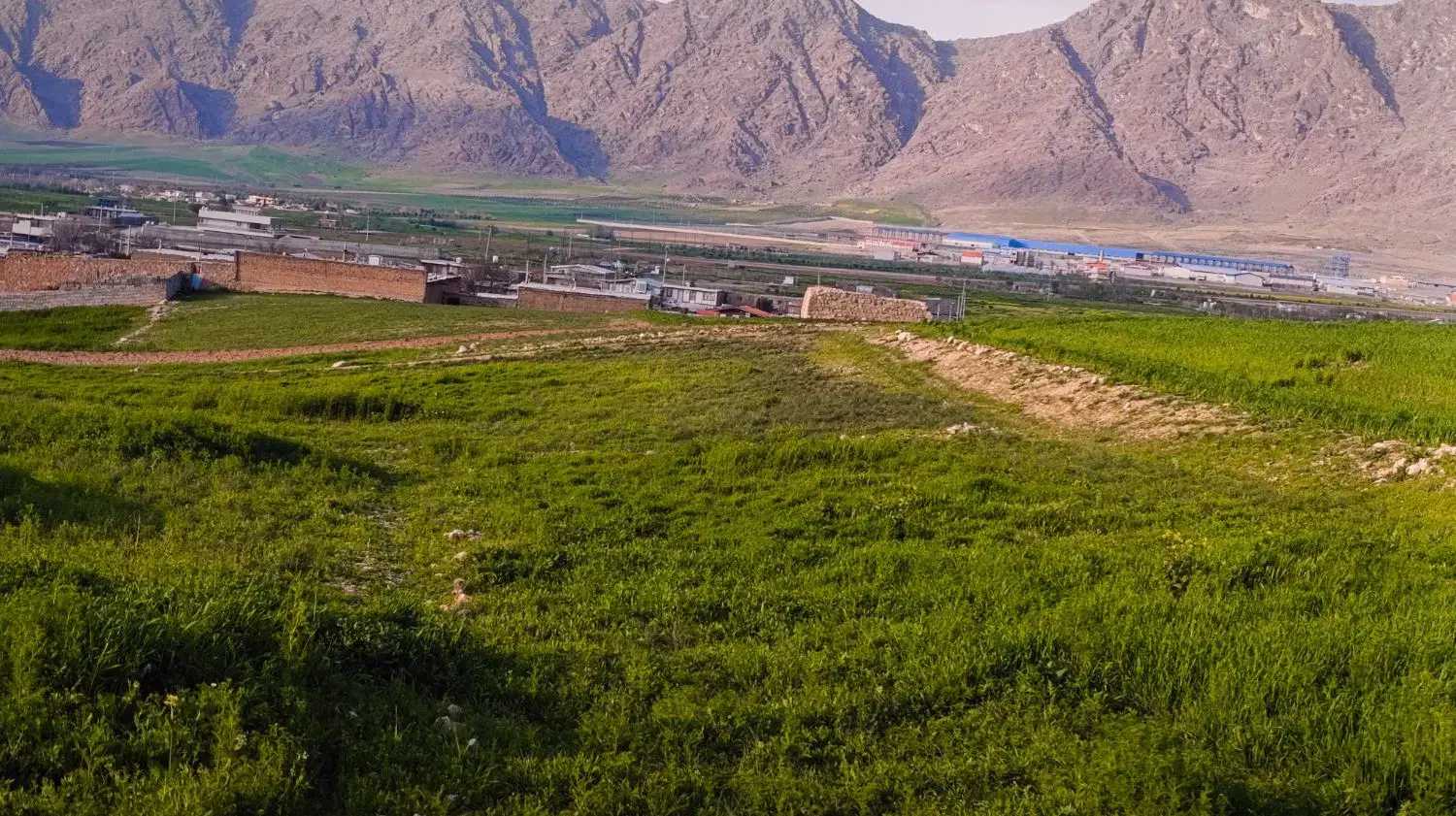 زمین کشاورزی کمالوند سرچاه سراب پرده چاهی