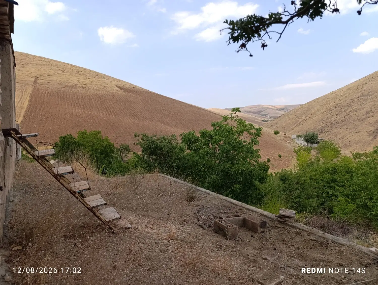 باغ دلنشین و آرام