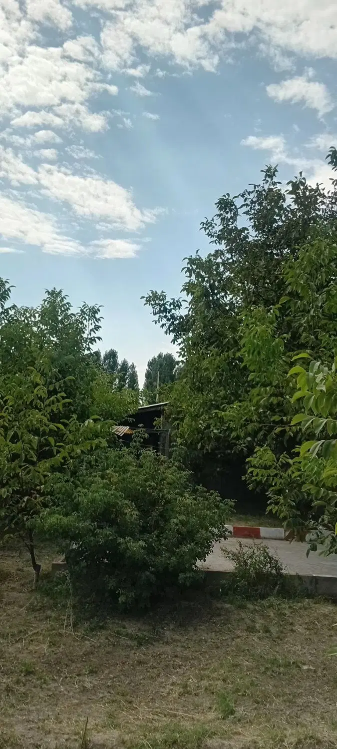 باغ و باغچه