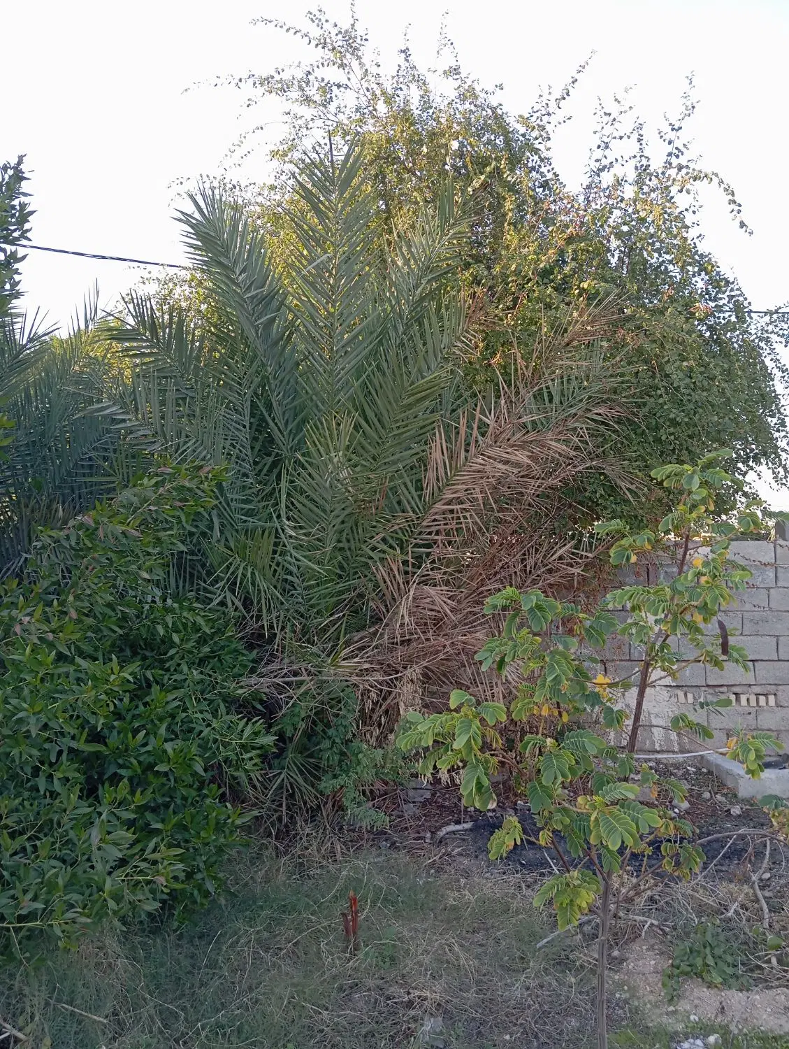 رهن واجاره خانه ویلایی روستای غزاله