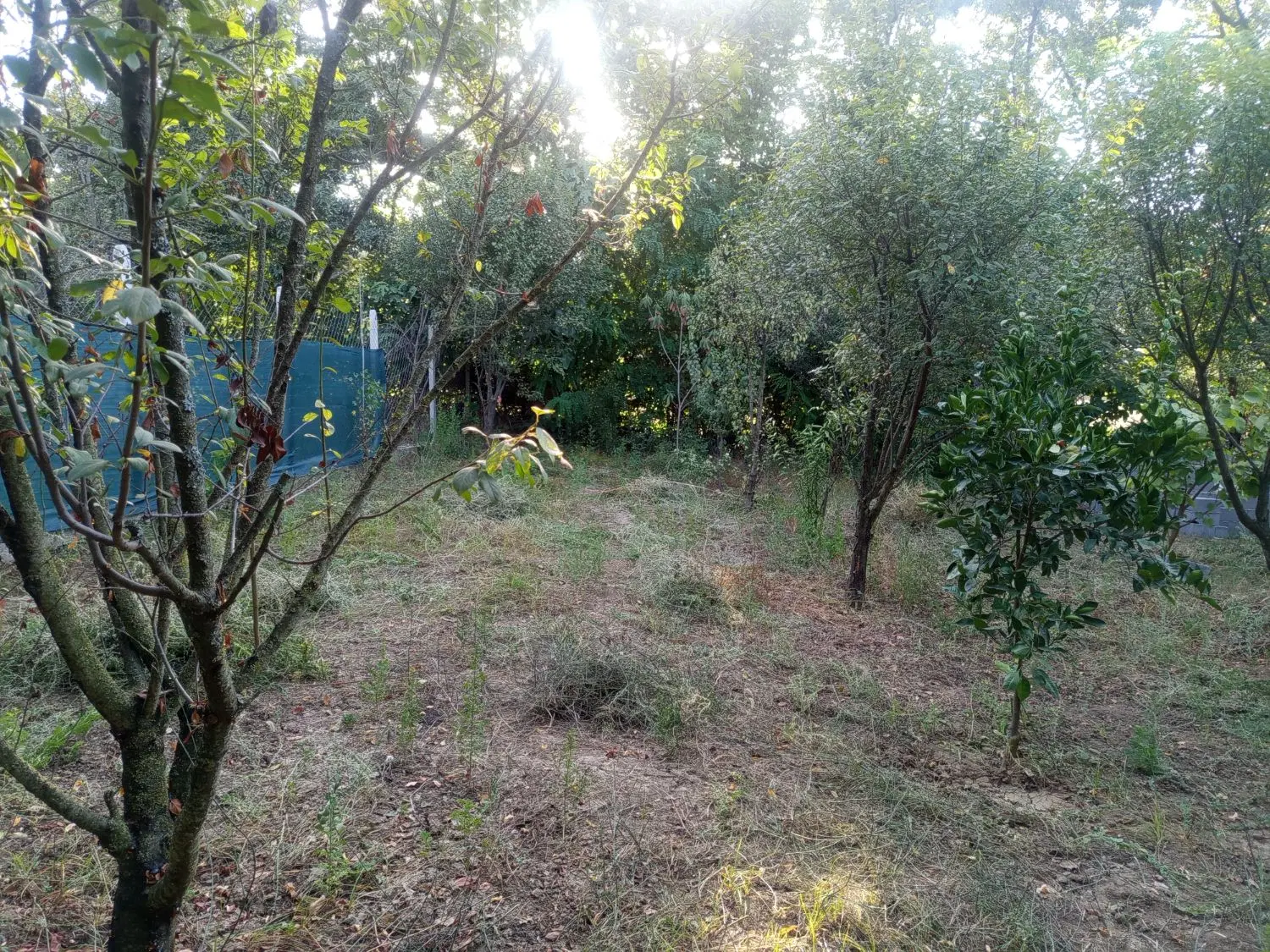 فروش زمین