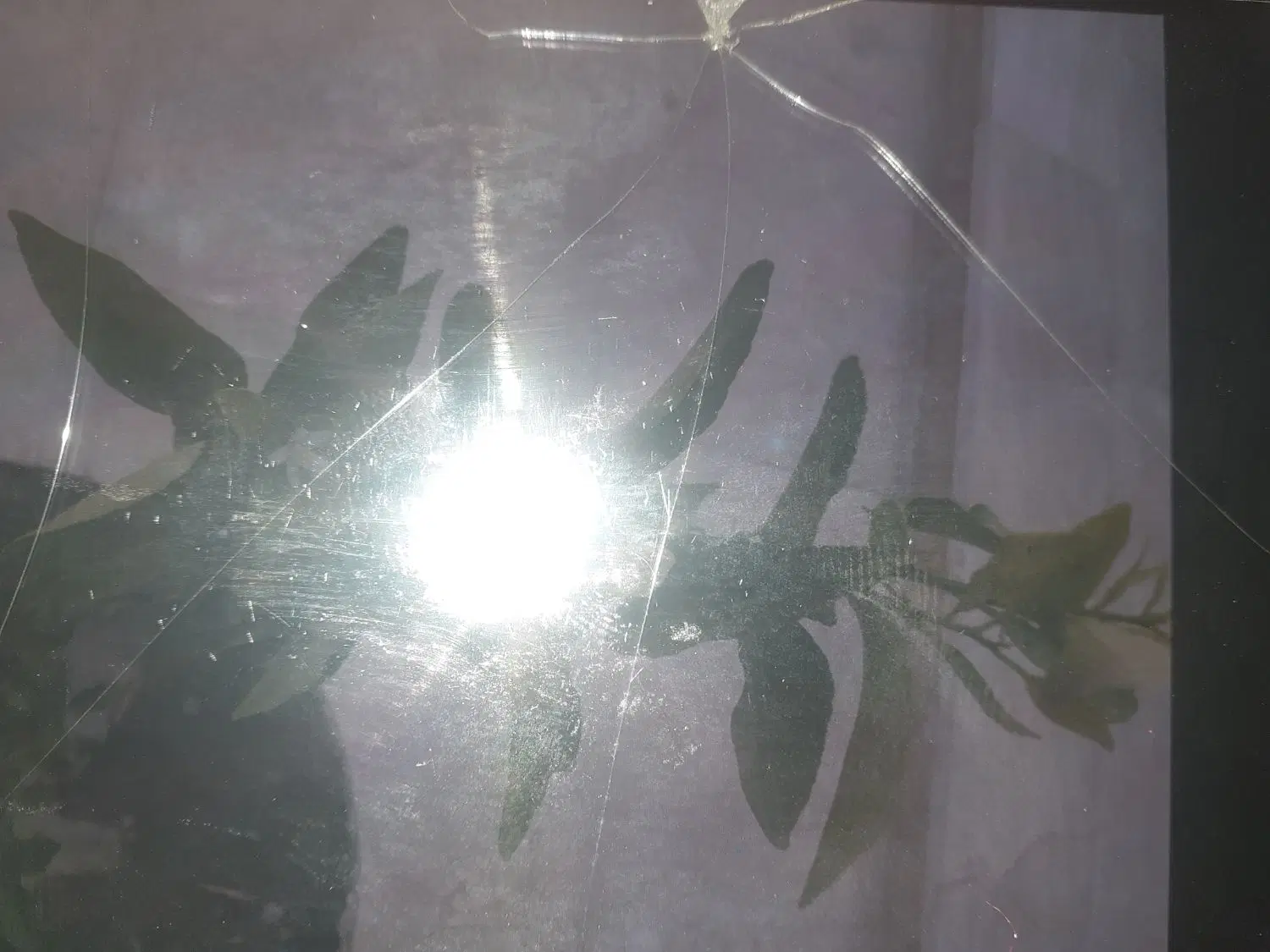 جهت اجاره مغازه  کمربندی