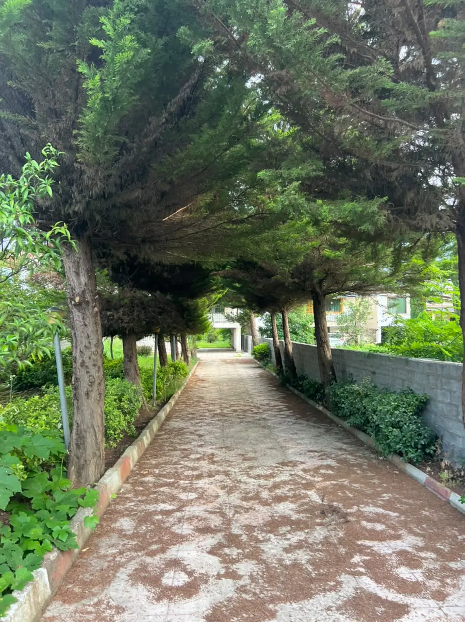 اجاره ویلا