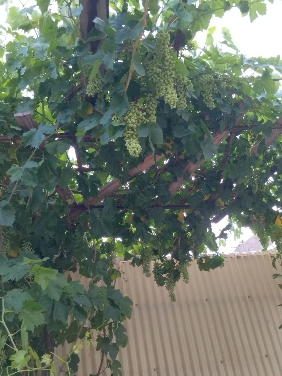 خانه ویلایی