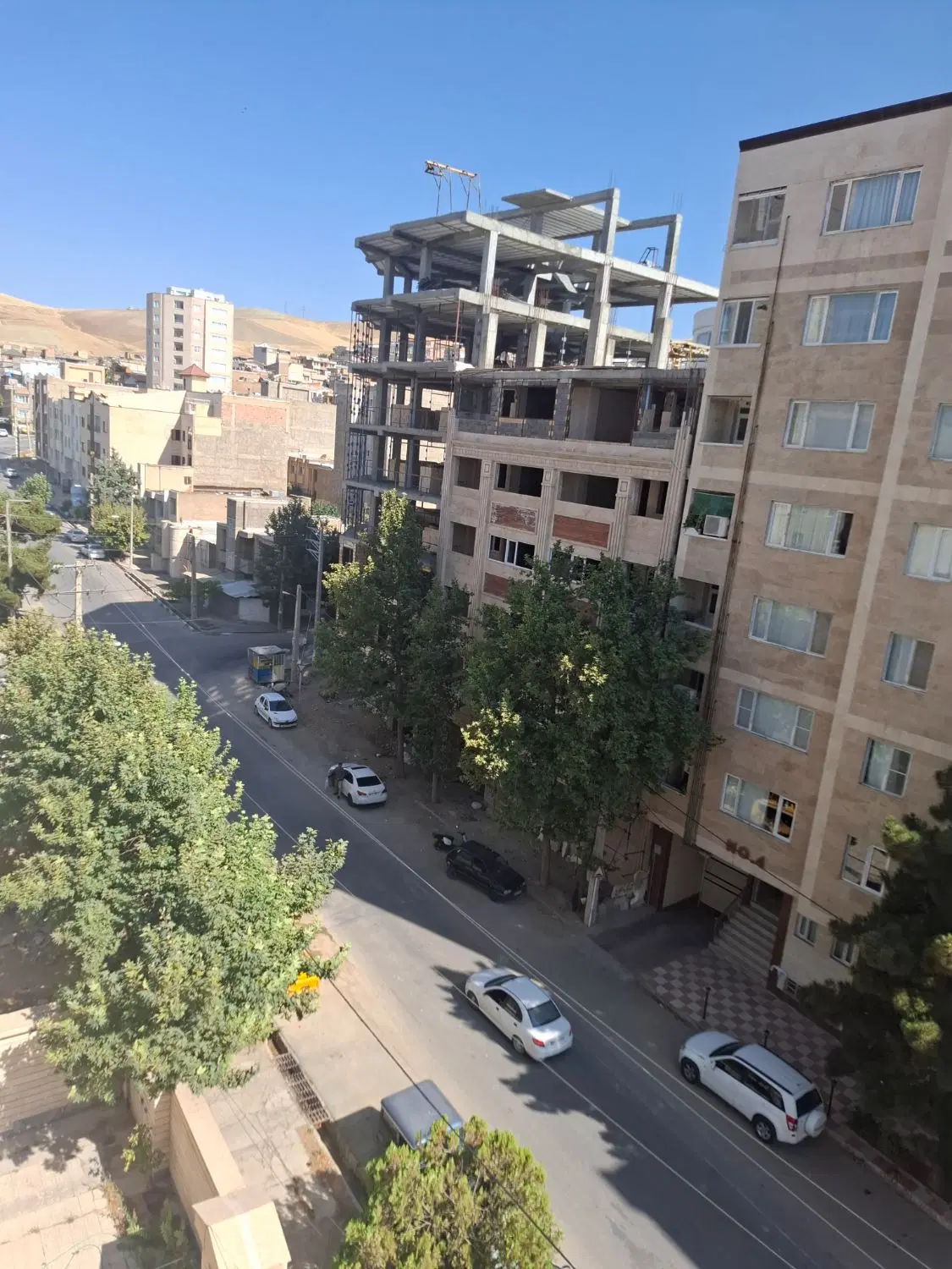 زمین در پشت پارک جنگلی
