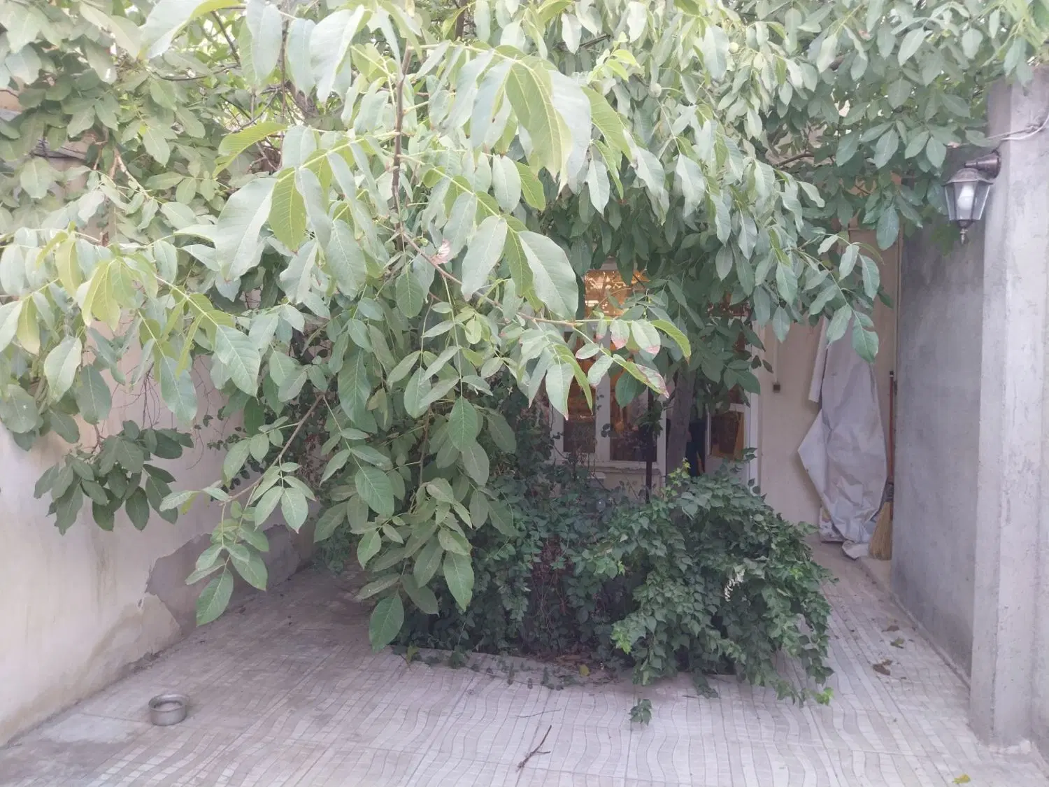 قطعه شمالی شاهگلی