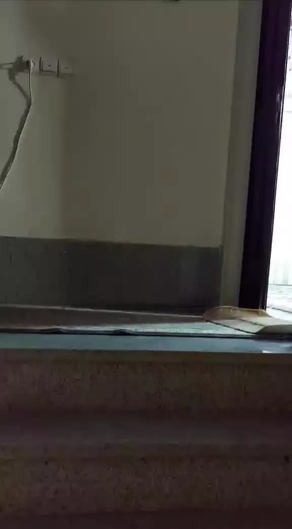 فروش آپارتمان