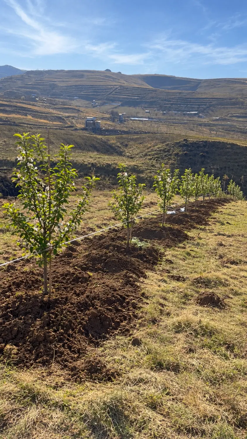 فروش باغچه با بهترین ویو در روستای زرشک