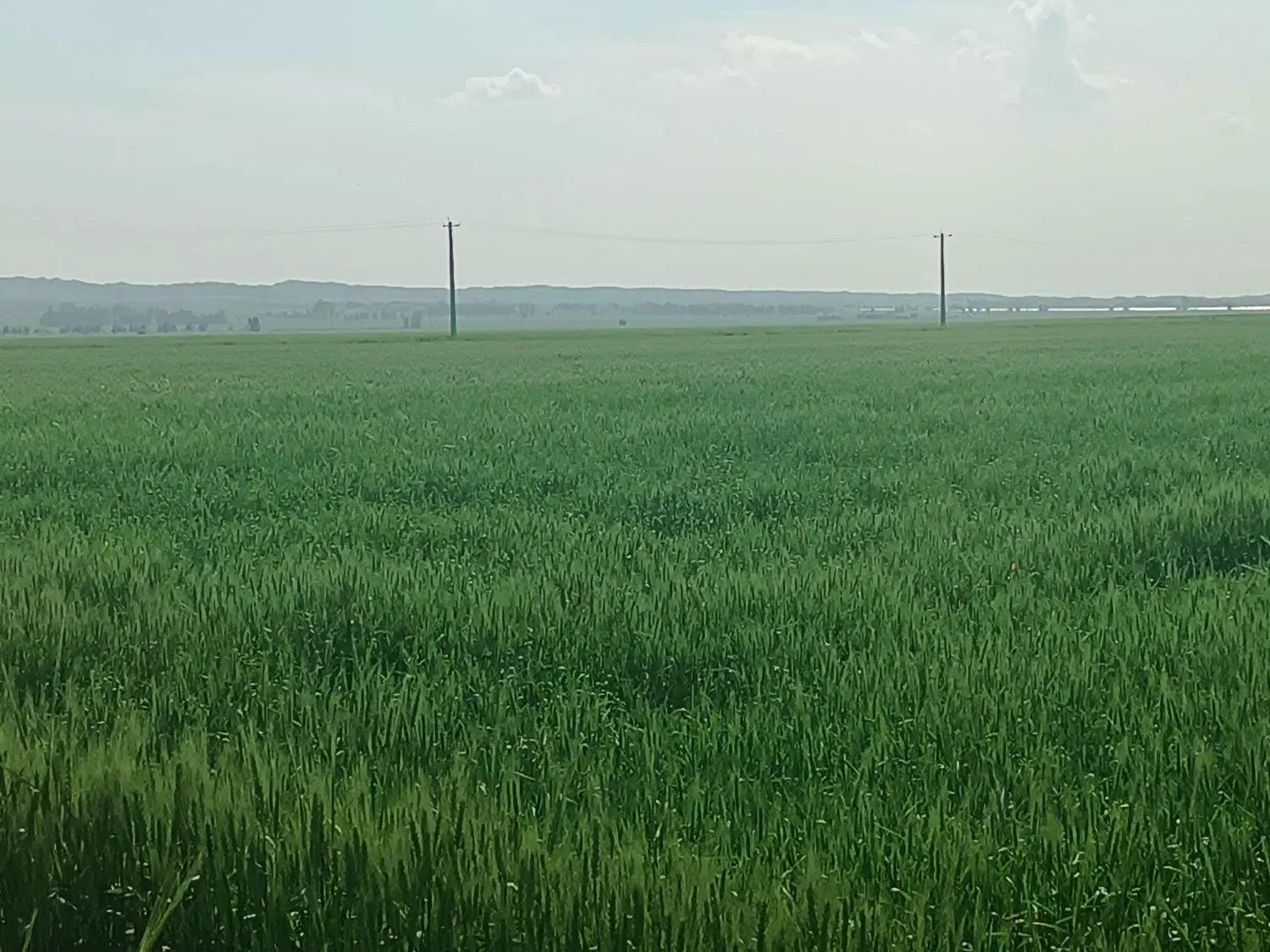 اجاره کوتاه مدت زمین آبی