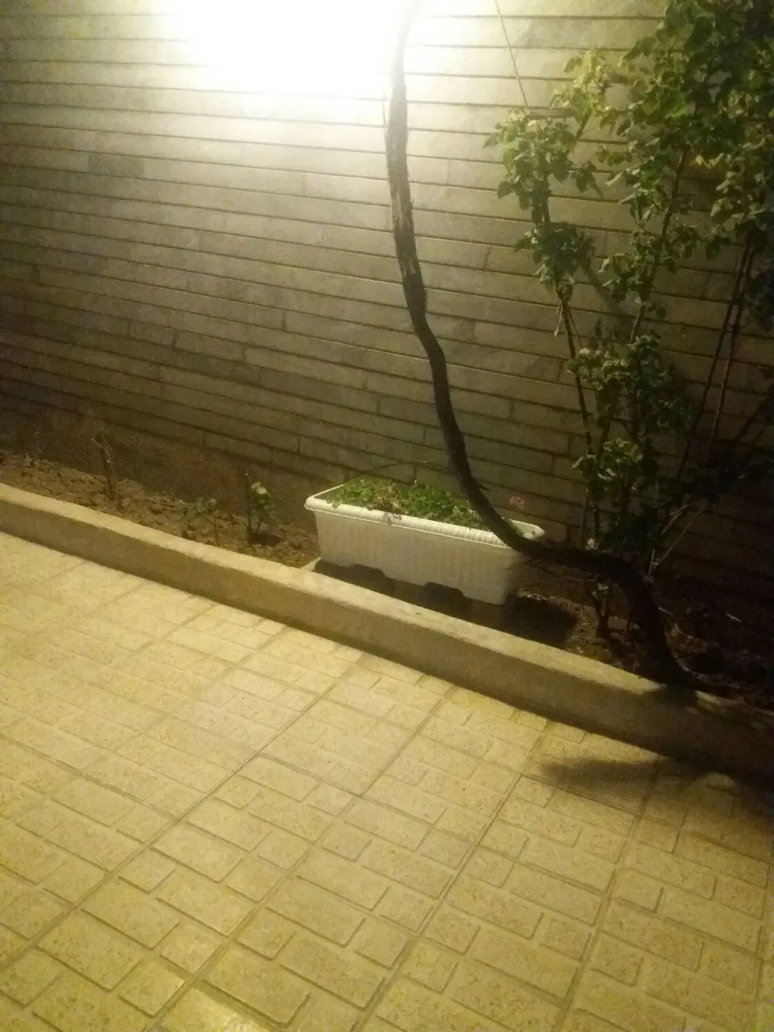 اجاره مغازه و انبار
