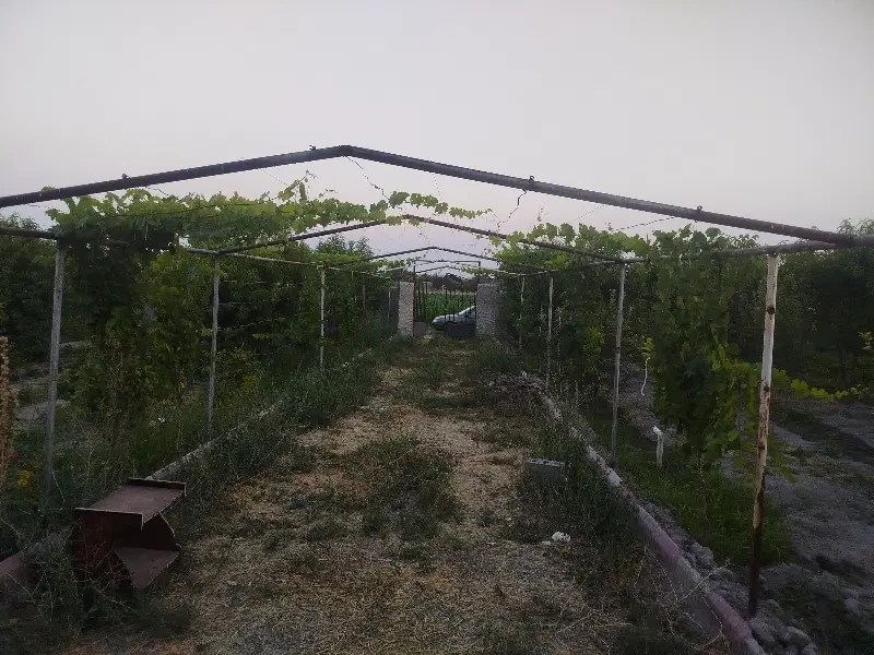باغچه الوان 1200متری