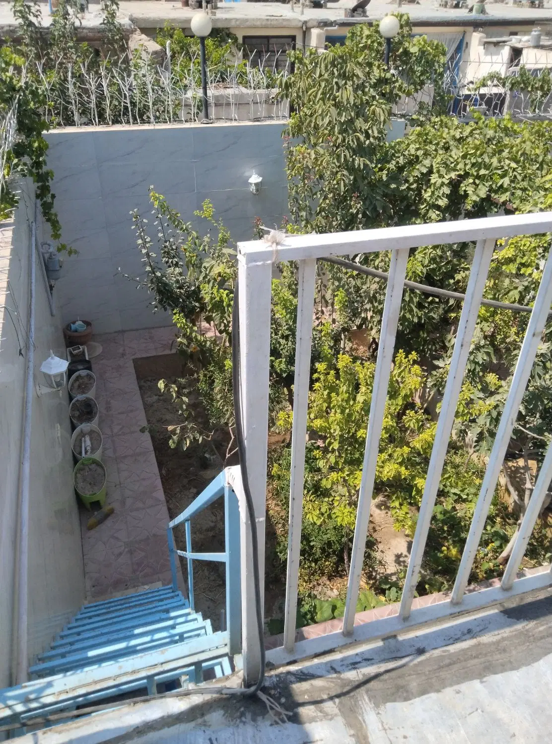 باغچه ویلا توری
