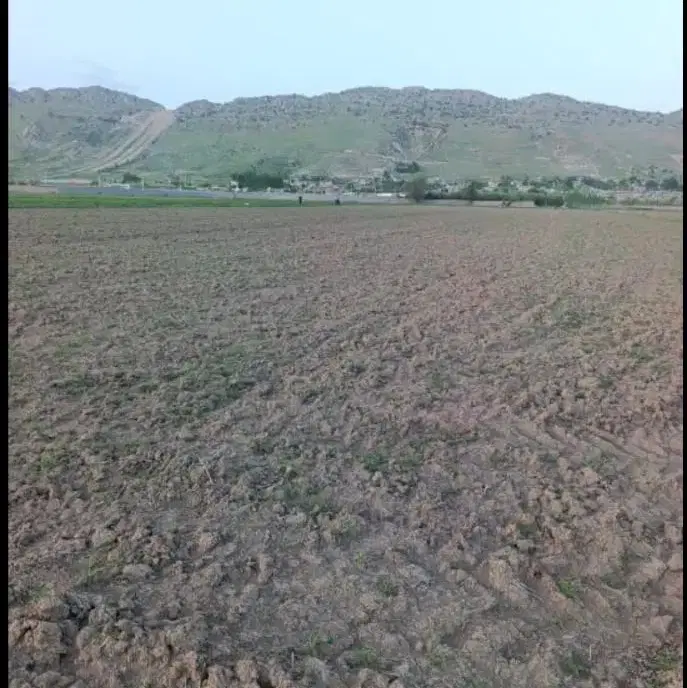 زمین