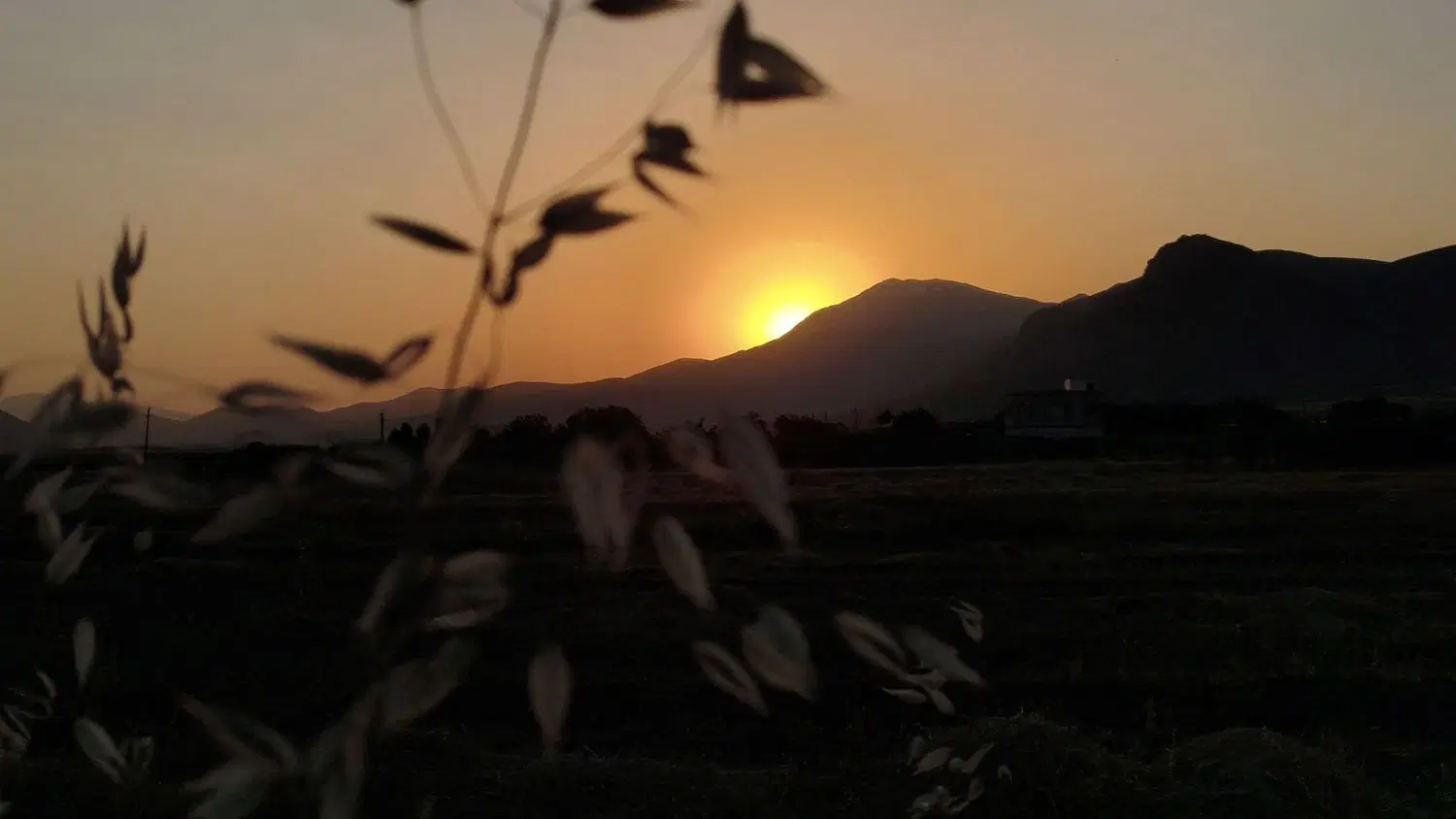 معاوضه زمین با خودرو