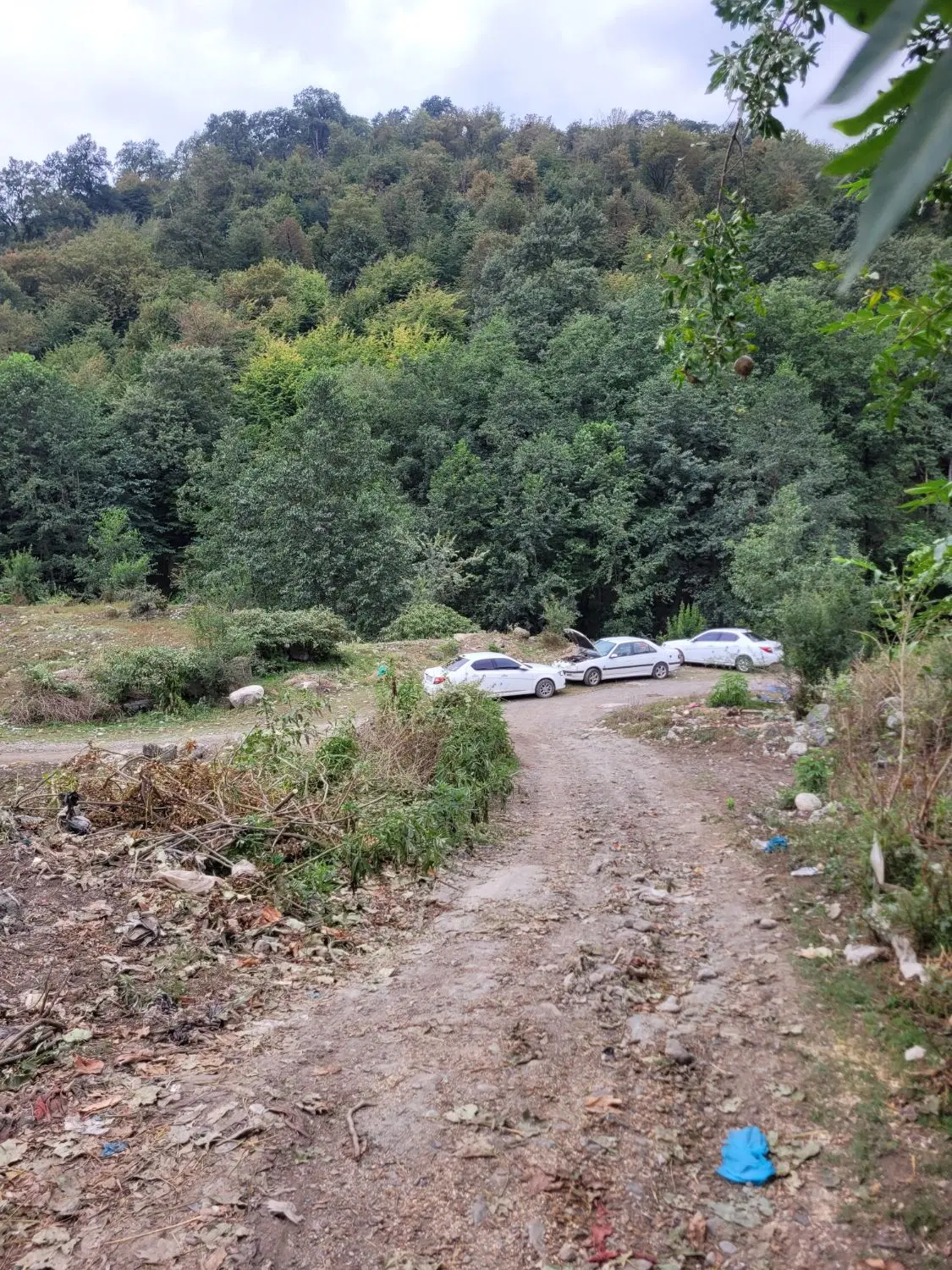 زمین مسکونی ویلایی فروشی گرگان