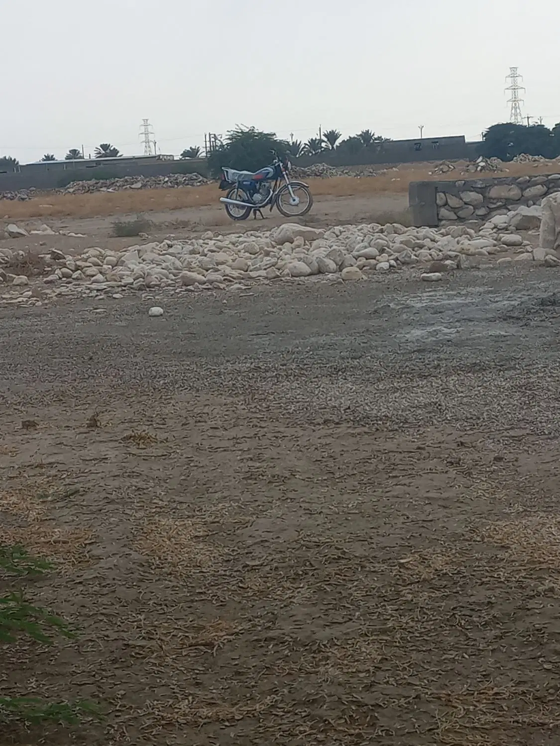 زمین کشاورزی
