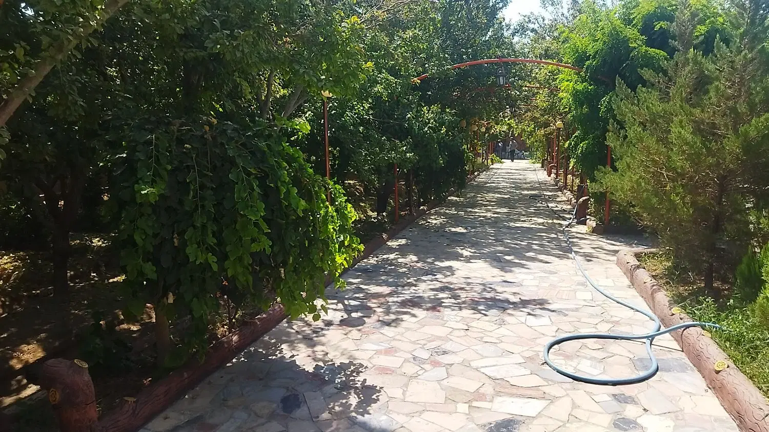 باغ 3700منر دونبش آب گازبرق 2تاچاه وسندتک برگ