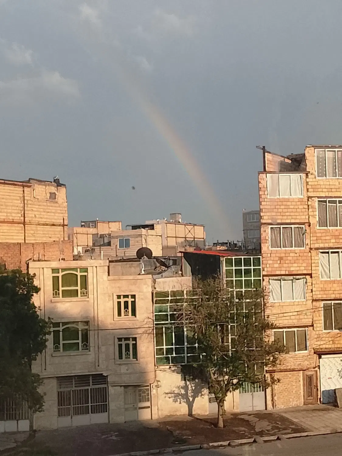 اجاره آپارتمان روزانه
