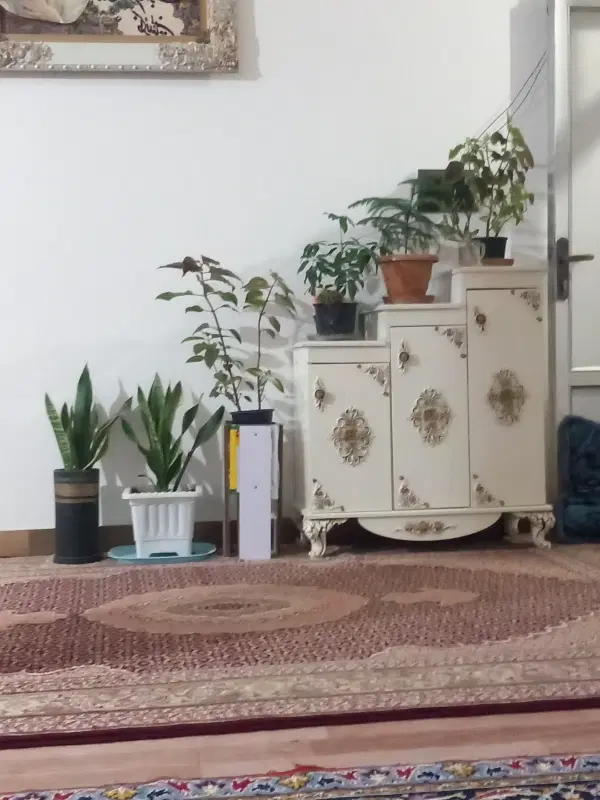 اجاره خانه برای مسافران عزیز