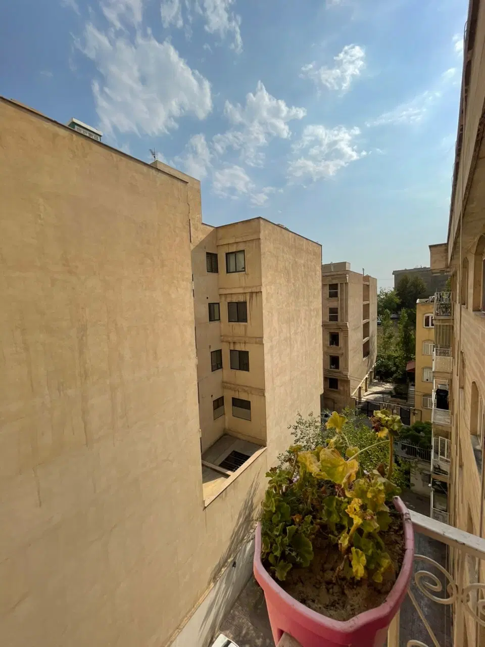 المهدی_ فول_زیر قیمت