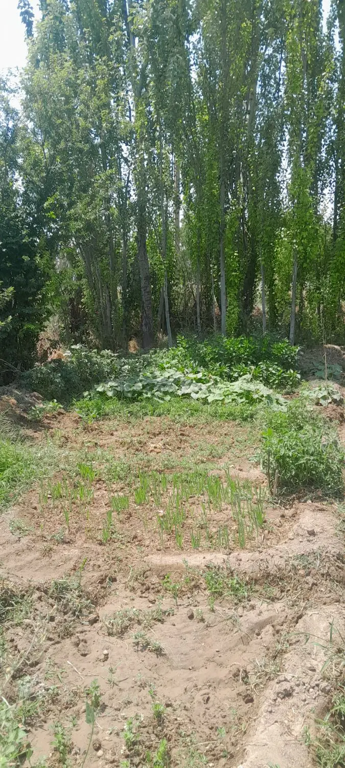 زمین کشاورزی مخصوص خانه باغ