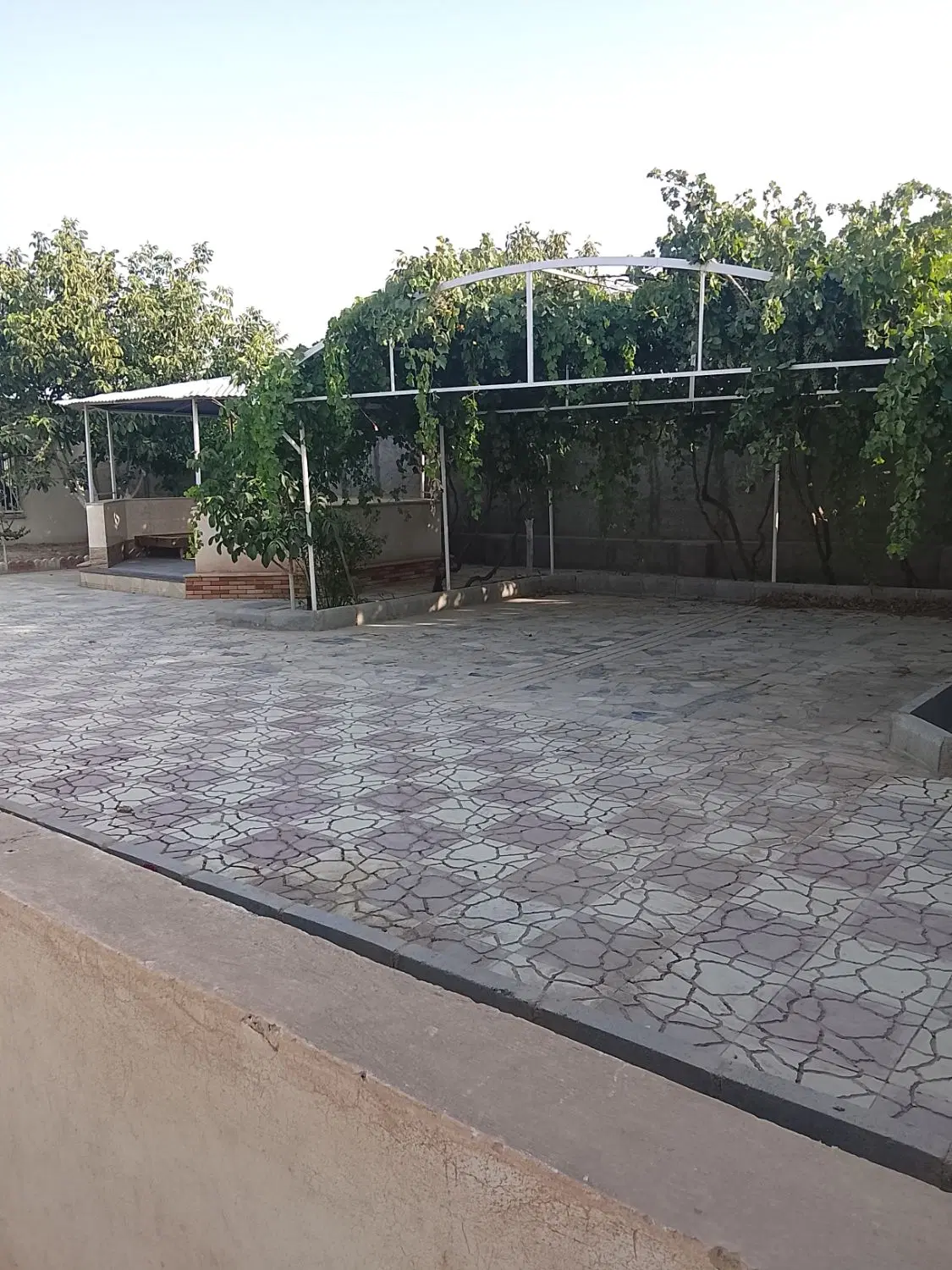 1000متر باغچه
