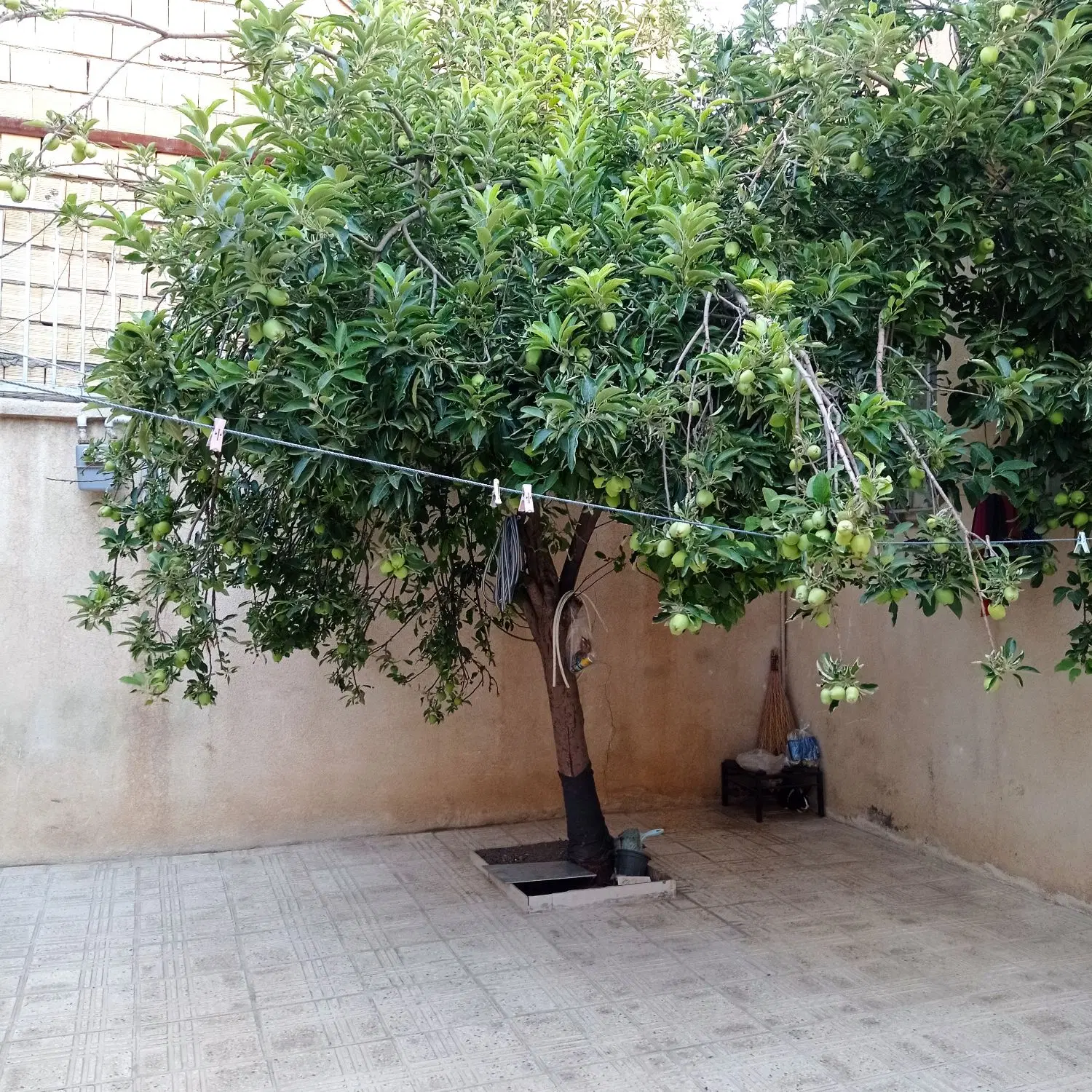 خانه ویلایی در تعاون
