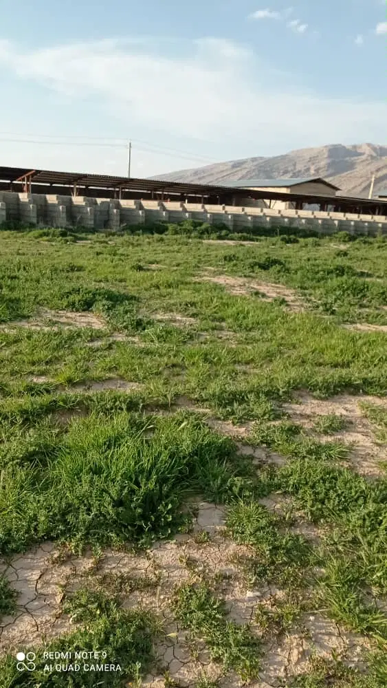 فروش باغ شهری کوهمره سرخی