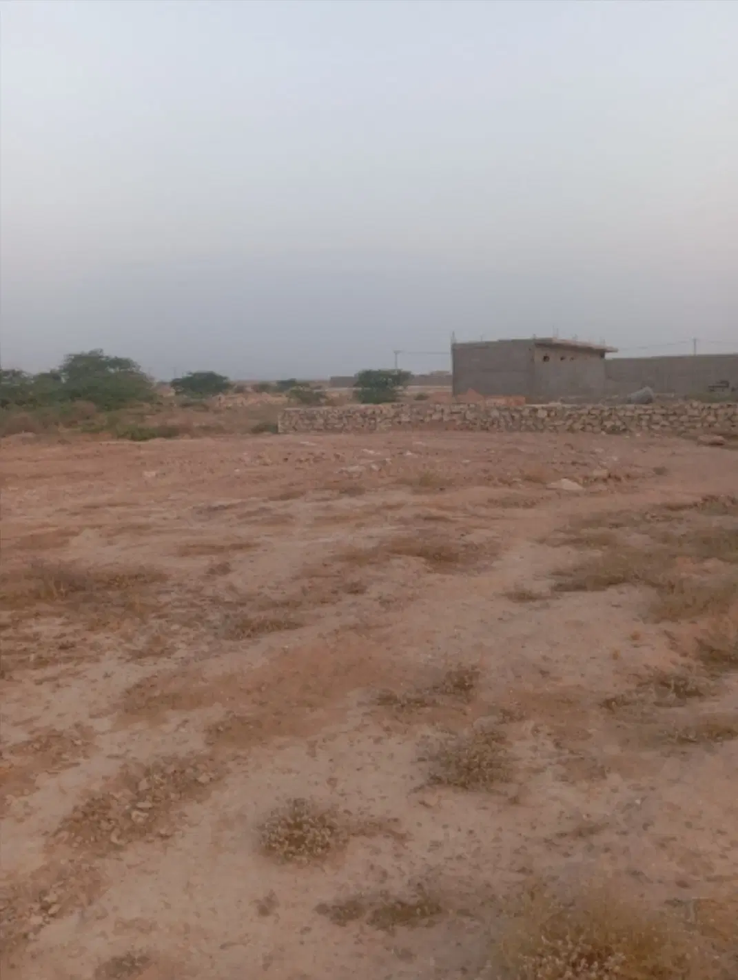 زمین