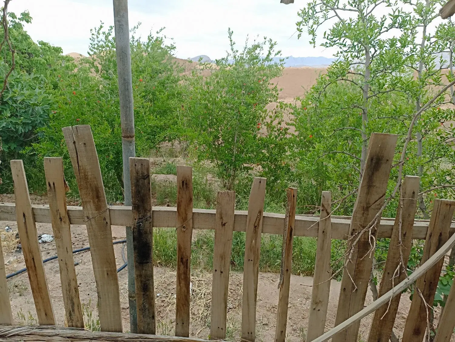 خانه ویلایی فروشی