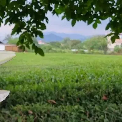 زمین ۱۳۵متر کشاورزی خیابان امام رضا