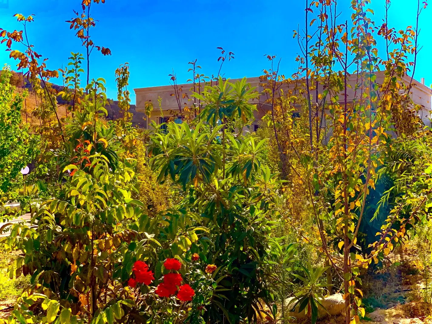 فروش باغ ویلا استخر ابگرم در گلستان شمالی ۳خواب