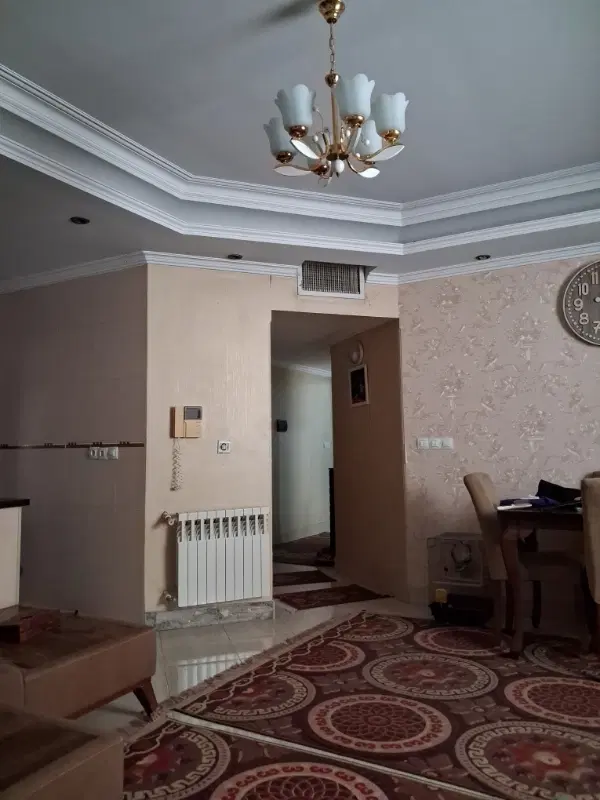 هم خونه خانم