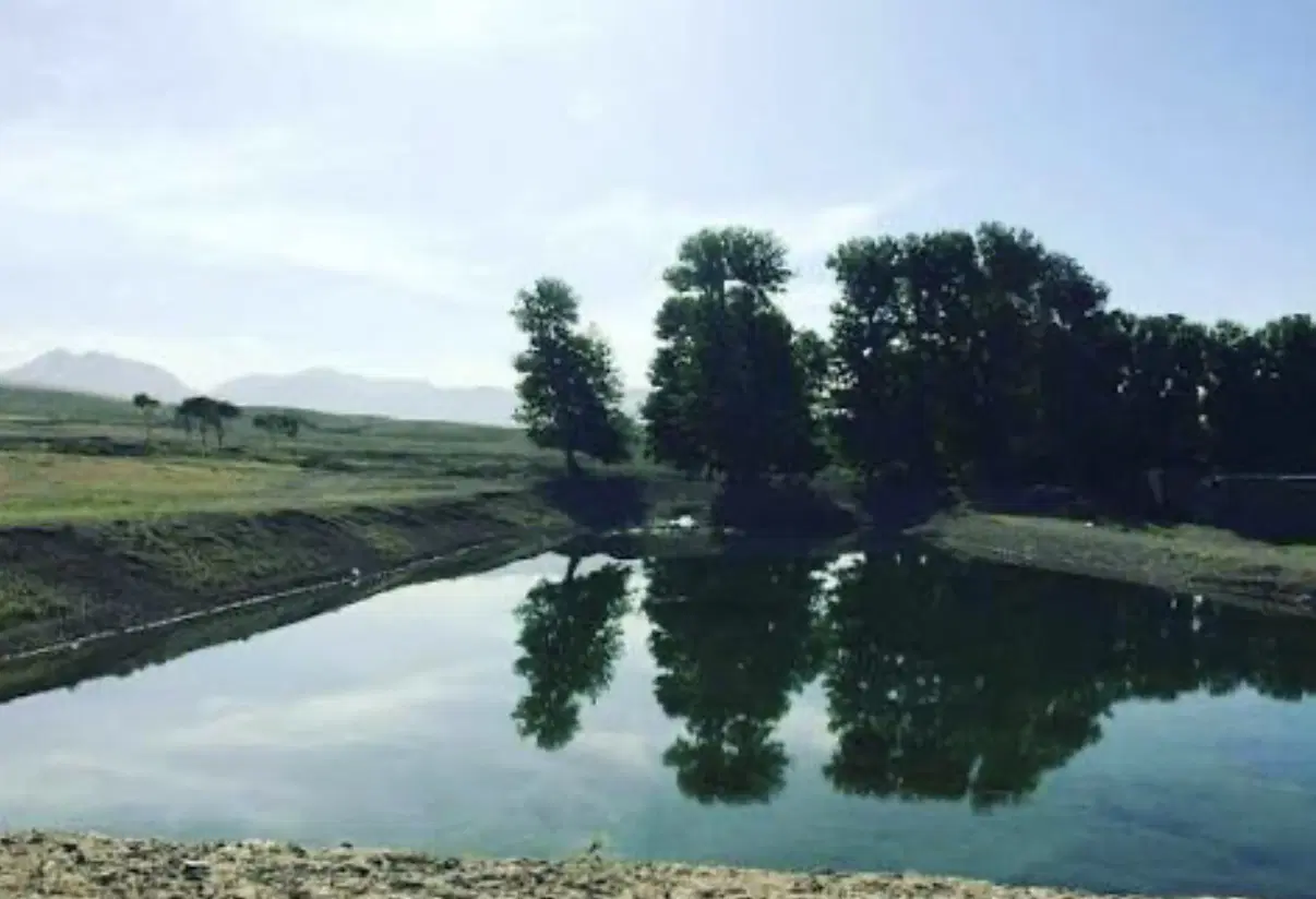 زمین هزار متری گلدشت کرج