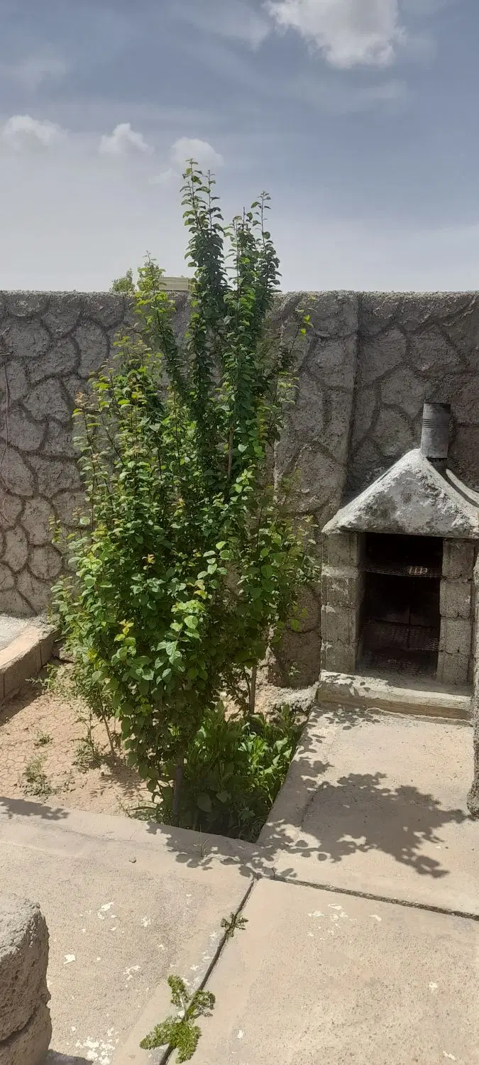 باغچه کوچک باغ معروف