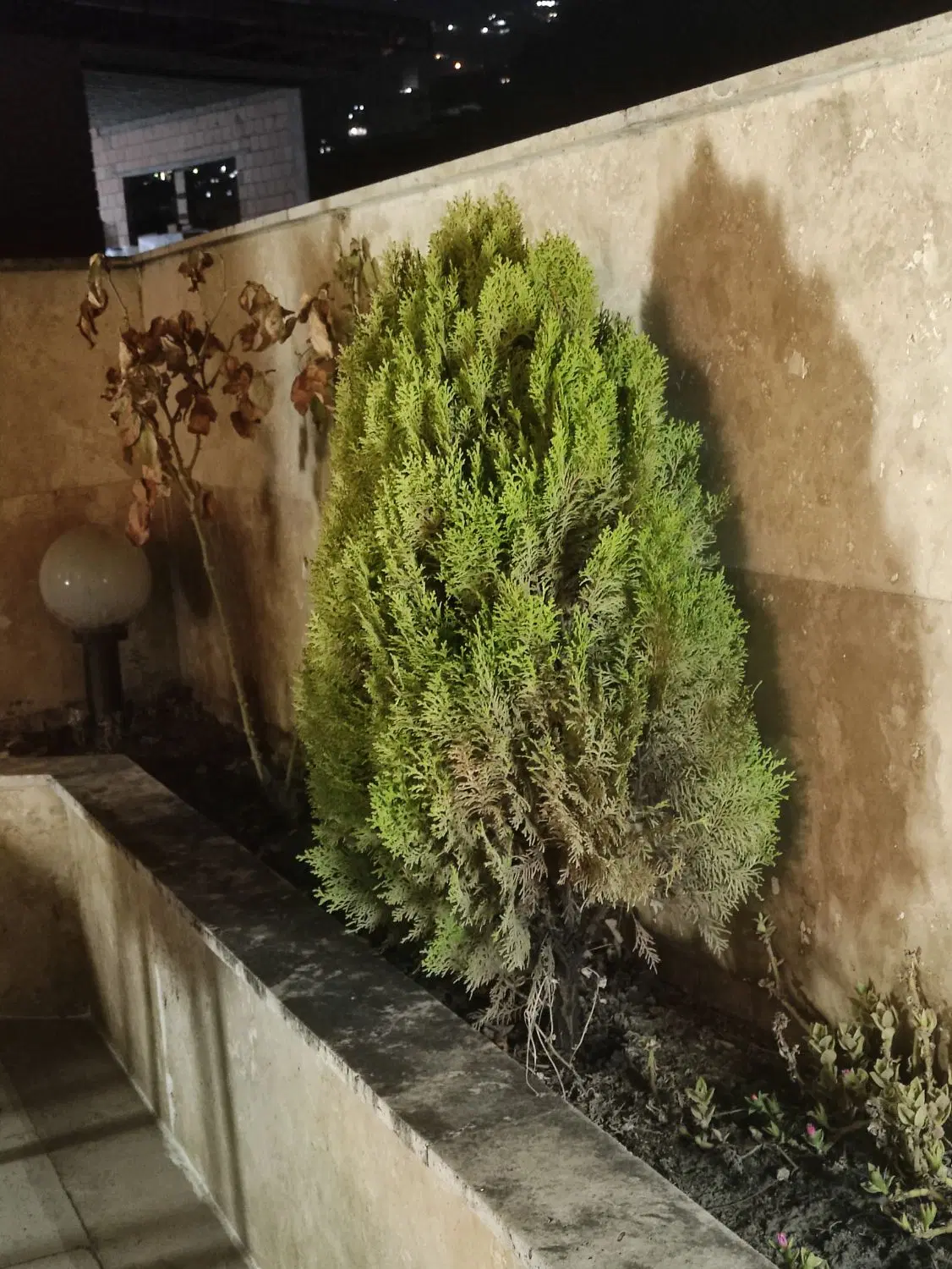 زمین نزدیک پروژه توشن