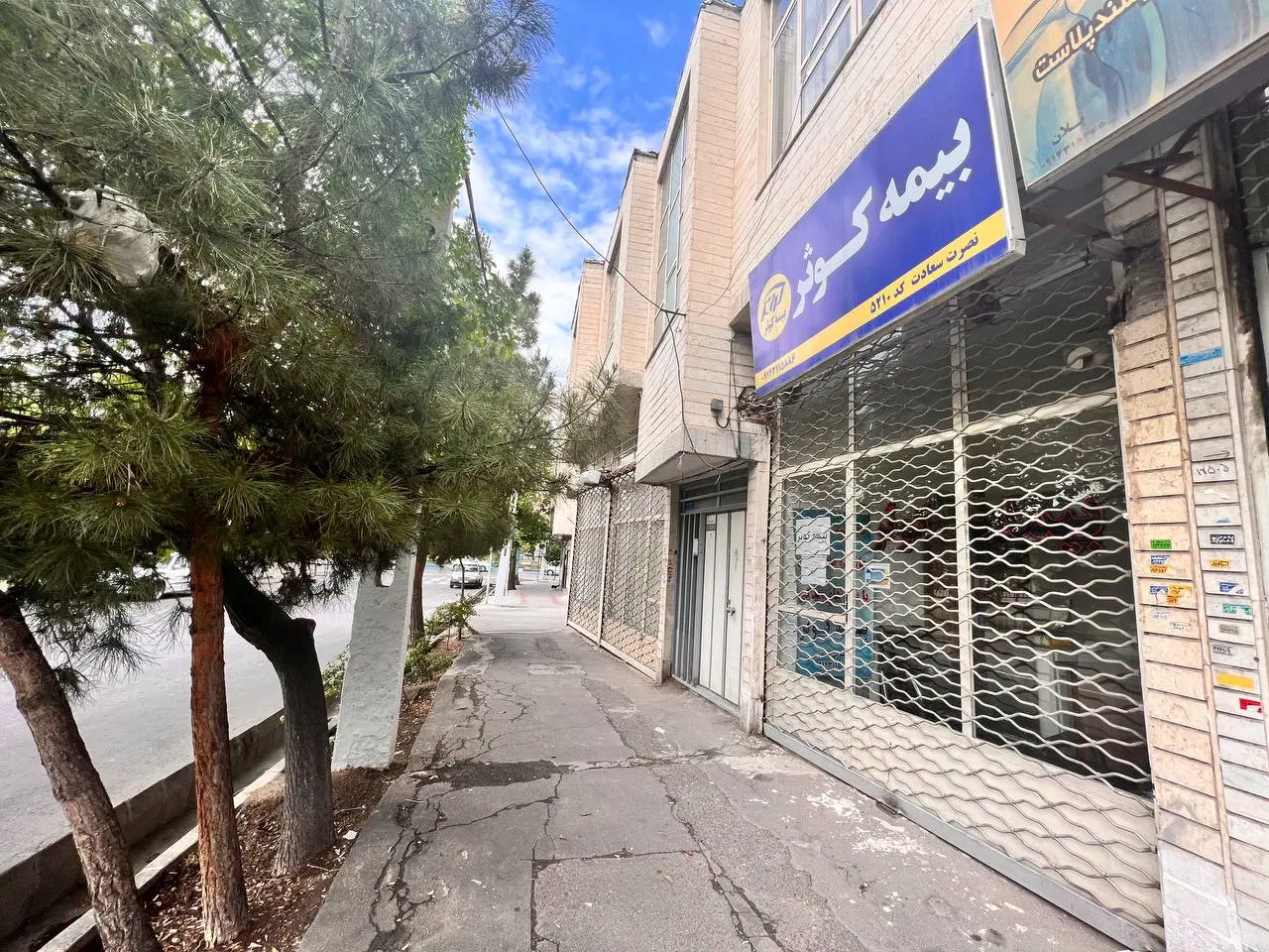 حیاط در منظریه لاله زار جنوبی