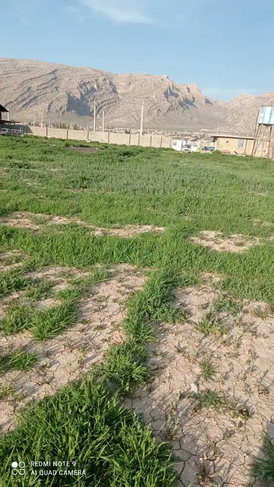 فروش زمین باغ شهری