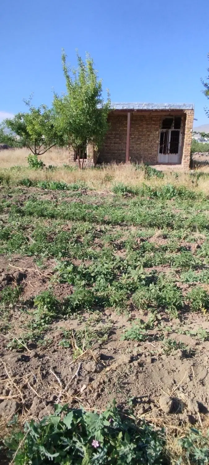 زمین کشاورزی در دیزج اباد